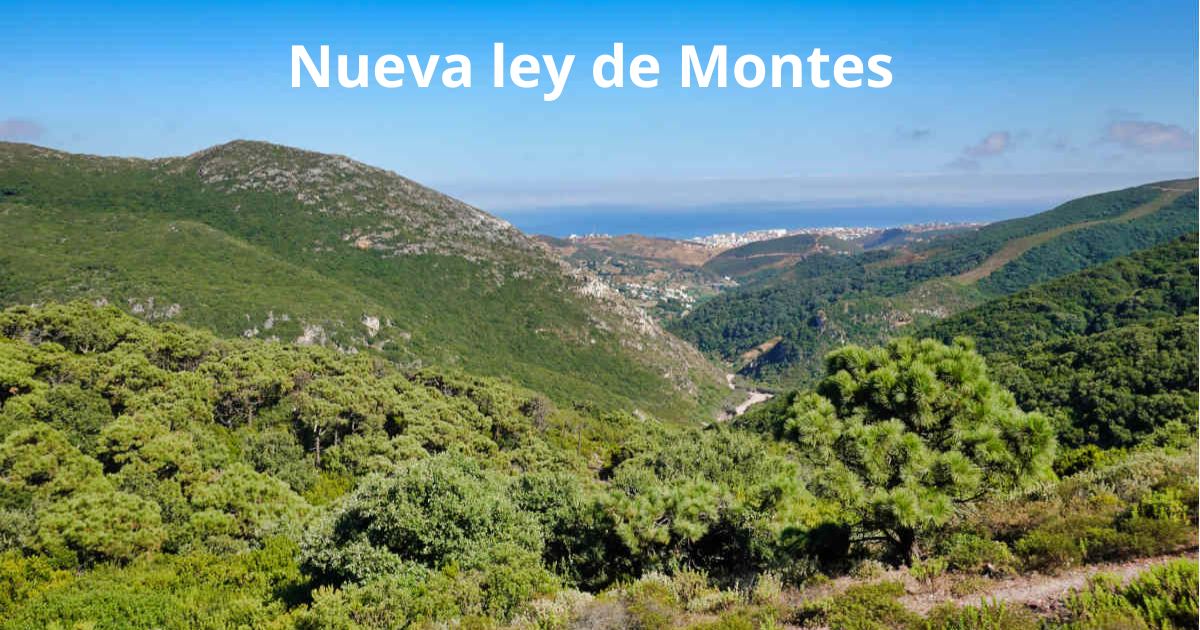 Nueva ley de montes